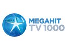 Логотип телеканала Viasat TV1000 Megahit HD