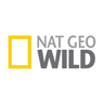 Логотип телеканала Nat Geo WILD